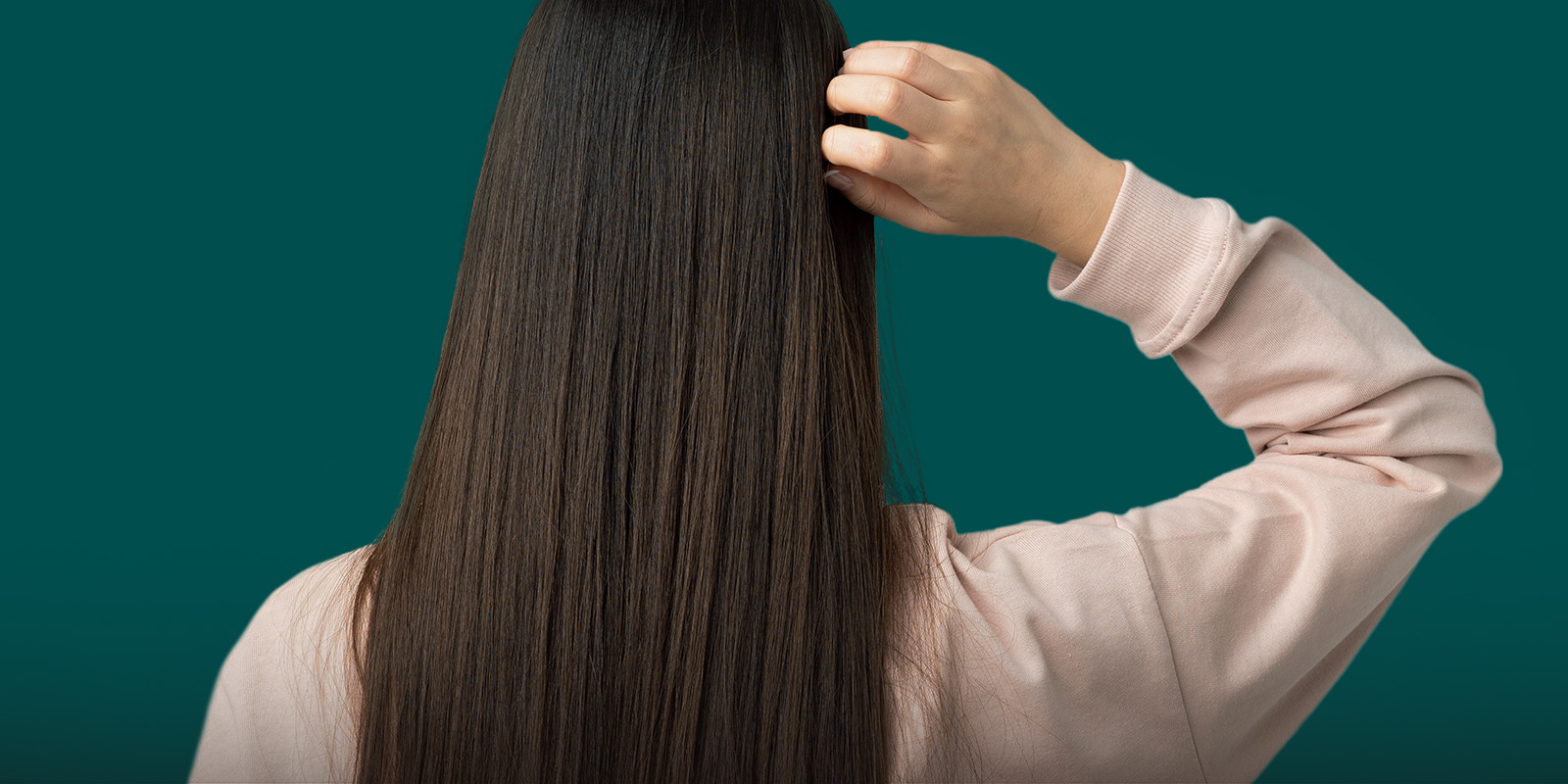 ما هو رنساج الشعر؟